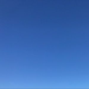 Meet your Posher, Mackenzie